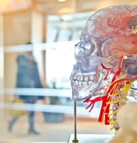 W1siZiIsIjIwMjAvMDYvMjcvMTcvMDUvNTMvYTM4ZTBmMTMtOTkzYi00MzQxLTkwZTUtMDMyMGYwNTI3MWRjL2JyYWluLmpwZyJd